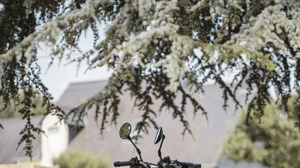 How to Install a Harley Davidson Saddlebag Step by Step