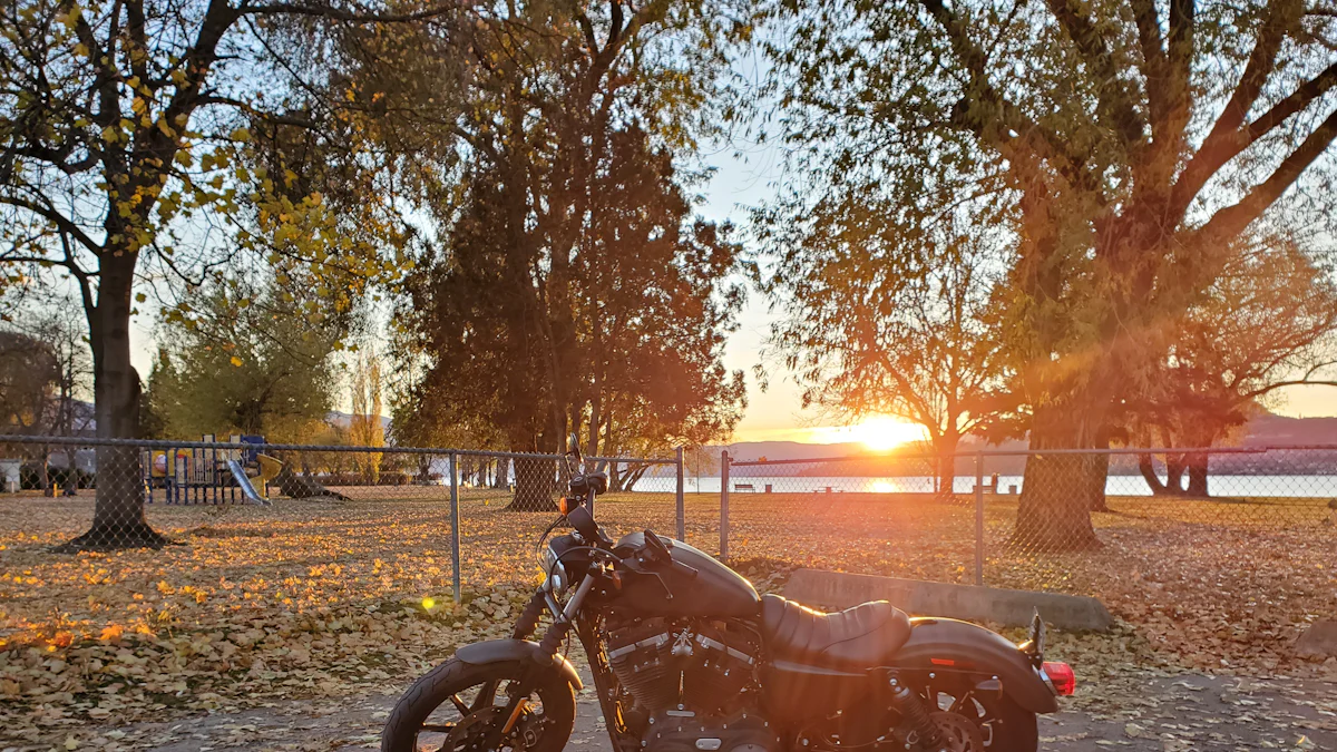 1. Sportster Iron 883